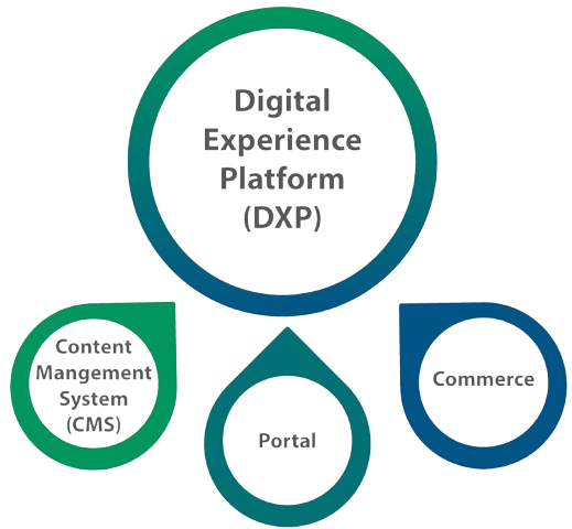 Transformative Design Solutions for Every Digital Experience