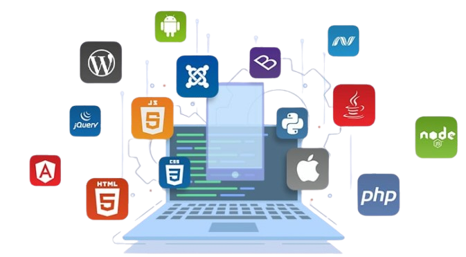 Our Web App Solutions
